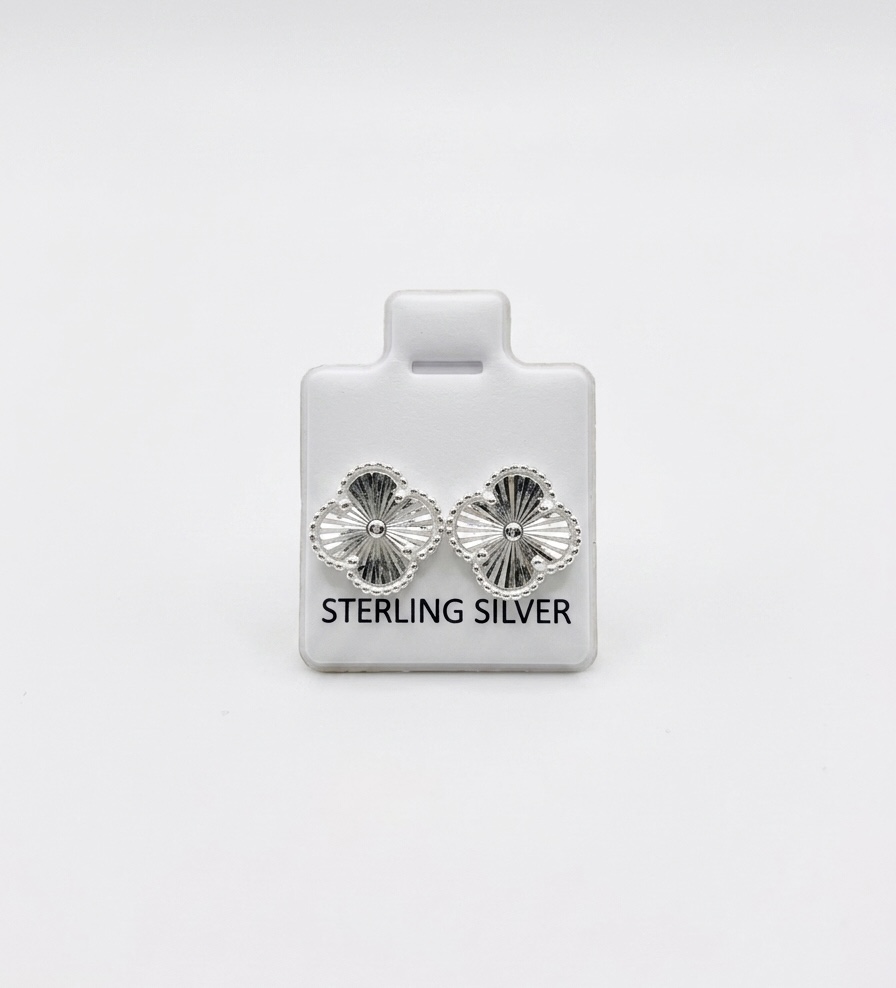 Aretes De Plata