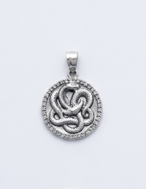 Medalla De Plata